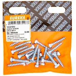 1CA10 - Coach Screw